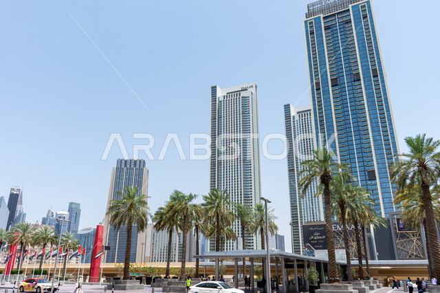  الاهتمام في زراعة أشجار النخيل، الفن الهندسي المعماري للمباني والمنشآت السكنية الحديثة في الإمارات العربية المتحدة، صورة بانورامية للأبراج وناطحات السحاب، أماكن ومعالم سياحية مشهورة في مدينة دبي، النمو والتطور العمراني وتحسين وتطوير البنية التحتية