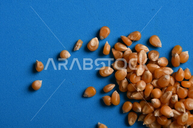 صورة لحبوب الذرة على خلفية زرقاء ، حبوب الذرة المجففة الذهبية ، حبيبات الذرة الخاصة بالفشار