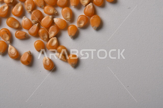 حبوب الذرة المجففة الذهبية ، حبوب الذرة على خلفية بيضاء ، حبيبات الذرة الخاصة بالفشار