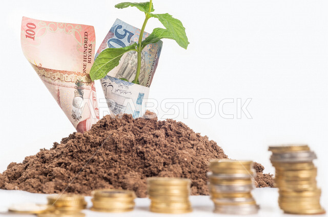 مجموعة من العملات المعدنية، نبتة صغيرة في تربتها الخصبة، النمو والأرباح المالية، عملات نقدية ورقية للريال السعودي، إدخار وتوفير الأموال، نقود معدنية