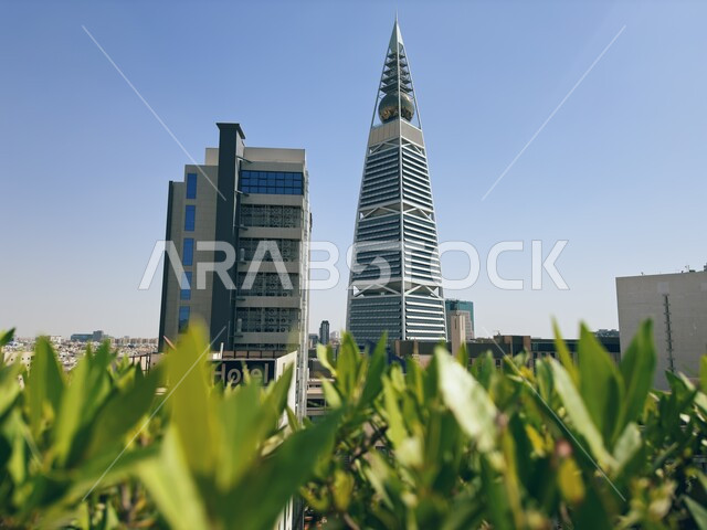 النمو والتطور العمراني في العاصمة، برج الفيصلية في مدينة الرياض في وقت النهار، الفن الهندسي المعماري للأبراج وناطحات السحاب في المملكة العربية السعودية، معالم ومباني مشهورة، الاهتمام بالتشجير و زراعة الاشجار الخضراء في المدن السياحية