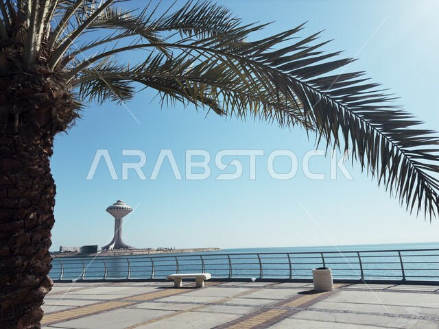 Landscape in Saudi Arabia, Red Sea coast waterfront during the day, famous tourist attractions in Dammam city in the Eastern Province, modern architecture, interest in palm trees