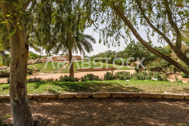 الاهتمام بزراعة النباتات والأشجار ، حديقة ولي العهد بالمعذر بالرياض، الهندسة الزراعية المتميزة في المملكة العربية السعودية، قضاء أوقات ممتعة في التنزه، أماكن ومناطق سياحية ترفيهية، المناظر الطبيعيه الخضراء