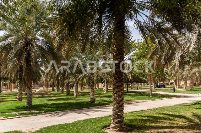 المنتزهات الترفيهية العامة، الاهتمام بزراعة النباتات وأشجار النخيل، حديقة البجيري قبل إعادة بنائها في وقت النهار، الهندسة الزراعية المتميزة في المملكة العربية السعودية، أماكن ومناطق سياحية عائلية للتنزه والترفيه والمتعة، المناظر الطبيعيه الخضراء