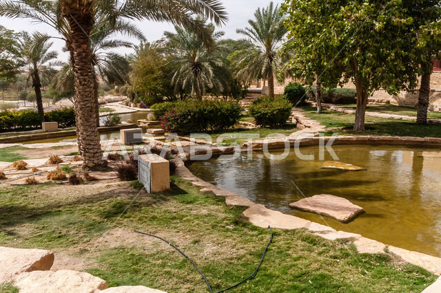 الاهتمام بزراعة النباتات وأشجار النخيل، المنتزهات الترفيهية العامة، بحيرة حديقة البجيري قبل إعادة بنائها في وقت النهار، الهندسة الزراعية المتميزة في المملكة العربية السعودية، أماكن ومناطق سياحية عائلية للتنزه والترفيه والمتعة، المناظر الطبيعيه الخضراء