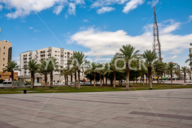 المنتزهات الترفيهية العامة، الاهتمام بزراعة النباتات وأشجار النخيل، حديقة مكتبة الملك فهد بالرياض في وقت النهار، الهندسة الزراعية المتميزة في المملكة العربية السعودية، أماكن سياحية عائلية للتنزه، منظر السماء الممتلئة بالغيوم البيضاء، الابنية والمنشأت السكنية والتجارية على الطراز الحديث