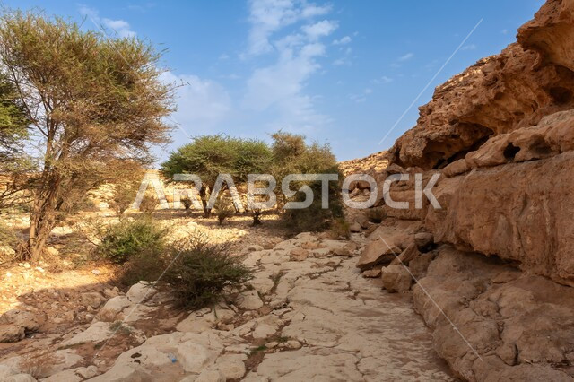 Ancient heritage tourist attractions within the Saudi Arabian desert, charming natural reserves in Riyadh, terrain and mountain formations and rock formations, growth of plants and green herbs, tourist attractions to attract tourists from abroad