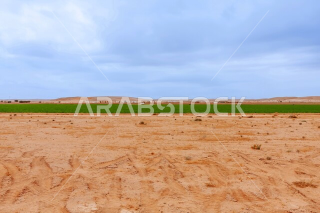 الحقول والأراضي والمحاصيل المحلية بالمملكة العربية السعودية، تقدم وتطور القطاع الزراعي، الاهتمام بالزراعة لتنمية وتطوير الاقتصاد، المشاتل والنباتات الخضراء