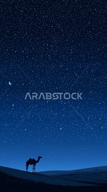 جمل عربي أصيل يسير وسط الصحراء، تربية الجمال والابل في المحميات الطبيعية في المملكة العربية السعودية ،  الرمال الذهبية الناعمة، الاهتمام ورعاية المواشي والثدييات في الصحاري