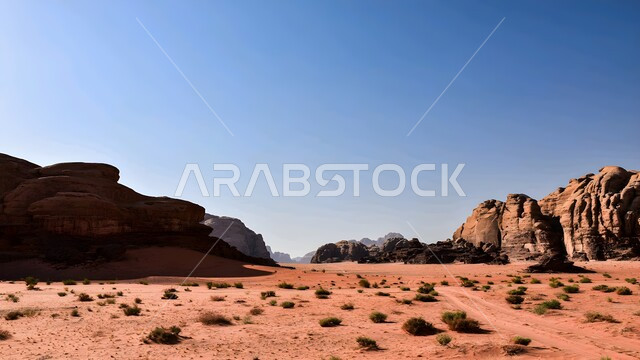 Rock formations and formations in the desert of Saudi Arabia, the growth of wild plants in the desert areas and the natural desert environment during the day, plateaus and hills of soft golden sand, heights and terrains and mountain peaks