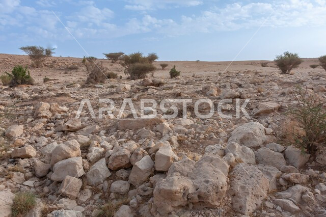 معالم سياحية تراثية قديمة داخل الصحراء العربية السعودية لجذب السياح، المحميات الطبيعية في الرياض، التضاريس والتشكيلات الجبليه و التكوينات الصخرية، نمو النباتات و الأعشاب الخضراء