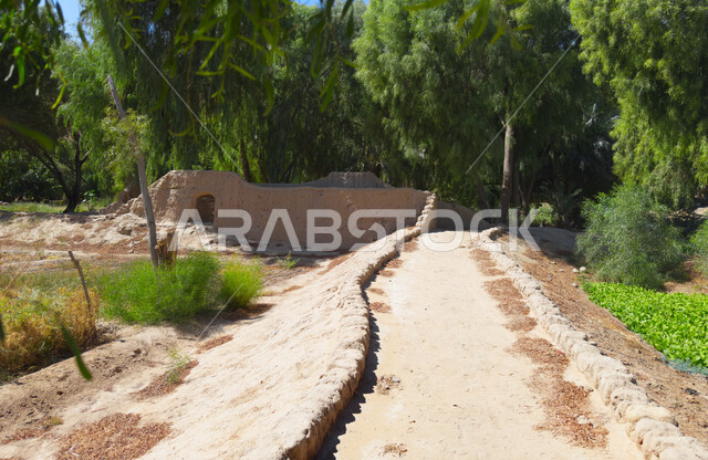 الاهتمام بزراعة النباتات والأشجار في مدينة العلا، الهندسة الزراعية المتميزة في المملكة العربية السعودية، قضاء أوقات ممتعة في التنزه، أماكن ومناطق سياحية ترفيهية، المناظر الطبيعيه الخضراء