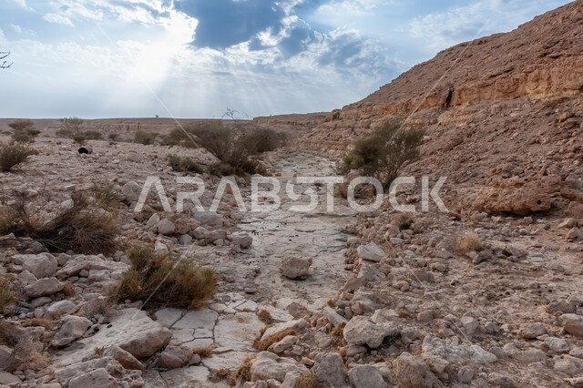 الجبال الرسوبية الطبيعية، التشكيلات والتكوينات الصخرية، مناطق اثرية تاريخية قديمة مشهورة في المملكة العربية السعودية، النباتات البرية في الطبيعة الصحراوية، التضاريس والنحت الصخري في وادي نار أبو جعفان فرات