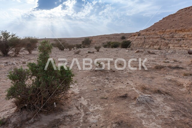 الجبال الرسوبية الطبيعية، التشكيلات والتكوينات الصخرية، مناطق اثرية تاريخية قديمة مشهورة في المملكة العربية السعودية، النباتات البرية في الطبيعة الصحراوية، التضاريس والنحت الصخري في وادي نار أبو جعفان فرات