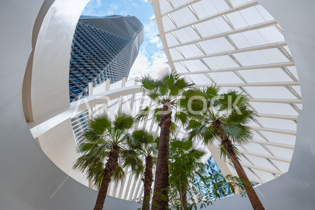 النمو والتطور العمراني لناطحات السحاب والمباني، الفنون والتصاميم الهندسية المعمارية المتطورة للأماكن السياحية في مدينة الرياض, صورة من الاسفل للأبراج المالية والمنشآت الاقتصادية في وقت النهار، مركز الملك عبد الله المالي (كافد)، الاهتمام بزراعة أشجار النخيل