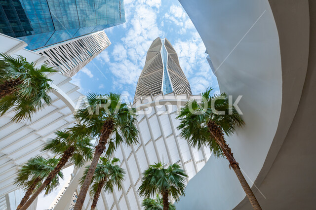 النمو والتطور العمراني لناطحات السحاب والمباني، الفنون والتصاميم الهندسية المعمارية المتطورة للأماكن السياحية في مدينة الرياض, صورة من الاسفل للأبراج المالية والمنشآت الاقتصادية في وقت النهار، مركز الملك عبد الله المالي (كافد)، الاهتمام بزراعة أشجار النخيل