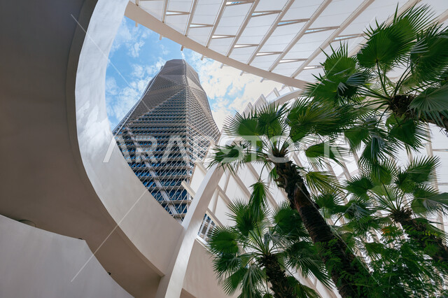 التصاميم والفنون الهندسية المعمارية المتطورة للأماكن السياحية في مدينة الرياض, النمو والتطور العمراني لناطحات السحاب والمباني، صورة من الاسفل للأبراج المالية والمنشآت الاقتصادية في وقت النهار، مركز الملك عبد الله المالي (كافد)، الاهتمام بزراعة أشجار النخيل