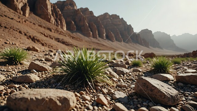 التكوينات والجبال الصخرية الطبيعية في الصحراء بالمملكة العربية السعودية، المعالم التاريخية الأثرية السياحية، الطبيعة الصحراوية في وقت النهار, النباتات الخضراء على اليابسة 