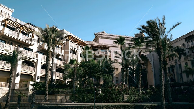 الاهتمام بزراعة أشجار النخيل، المناظر الطبيعية المتميزة في مدينة جميرا، الفن الهندسي المعماري للمنشآت والمباني، النمو والتقدم العمراني للمنتجعات والفنادق السياحية الفاخرة في الامارات العربية المتحدة، جذب واستقطاب السياح من انحاء العالم