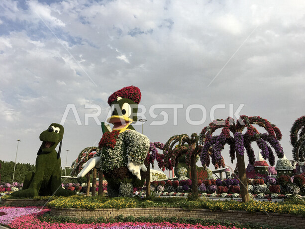 صورة لتمثال عملاق على شكل بطوط (دونالد دك) مصنوع من الورد في حديقة دبي المعجزة في الإمارات العربية المتحدة، معالم دبي السياحية، جمال حدائق دبي، السياحة في الإمارات
