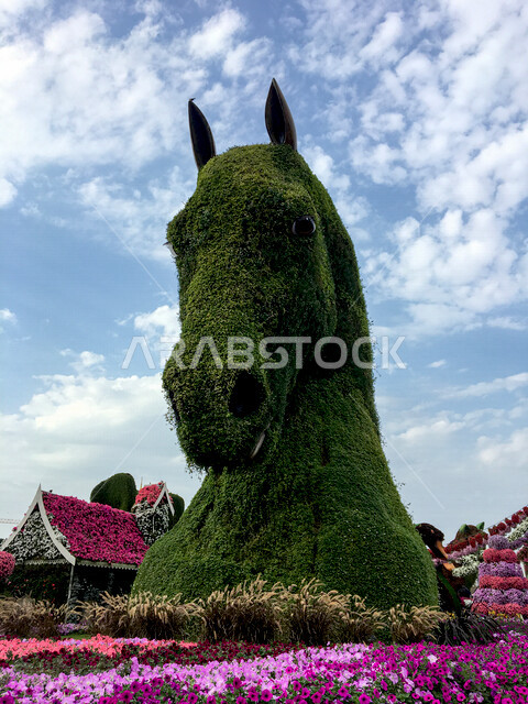صورة لتمثال عملاق على شكل رأس حصان مصنوع من الورد في حديقة دبي المعجزة في الإمارات العربية المتحدة، معالم دبي السياحية، جمال حدائق دبي، السياحة في الإمارات