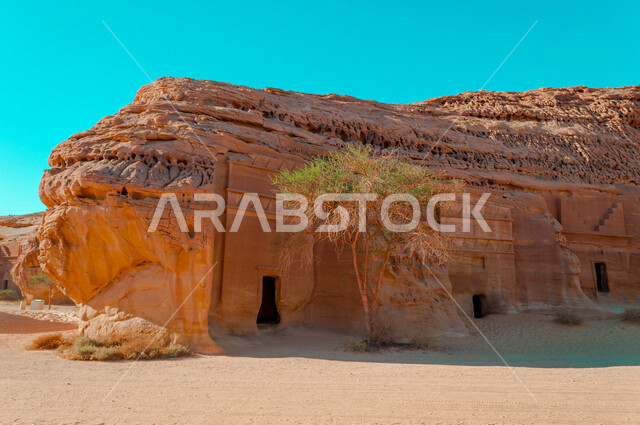 The historical beauty of Madain Saleh in Al-Ula, Saudi Arabia, the natural beauty of the rock formations, the ancient Arab civilization, archaeological tourist attractions in Saudi Arabia