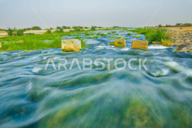 تيار المياه النقي في الوادي الأخضر في جدة، الأشجار والنباتات الخضراء، المناظر الطبيعية الخلابة في المملكة العربية السعودية، الأماكن والمناطق السياحية المشهورة، خلفية الطبيعة