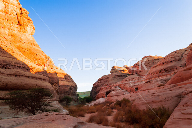 The historical beauty of Madain Saleh in Al-Ula, Saudi Arabia, the natural beauty of the rock formations, the ancient Arab civilization, archaeological tourist attractions in Saudi Arabia