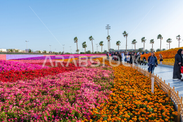  الأماكن والمنتزهات الطبيعية السياحية، عرض الأنواع من الأزهار والورود المتفتحة مختلفة الأشكال والألوان، الاهتمام بالحدائق والطبيعة الخصبة في المملكة العربية السعودية, انطلاق مهرجان ومعرض الزهور في مدينة ينبع, الاستمتاع بالفعاليات والمهرجانات الترفيهية العائلية