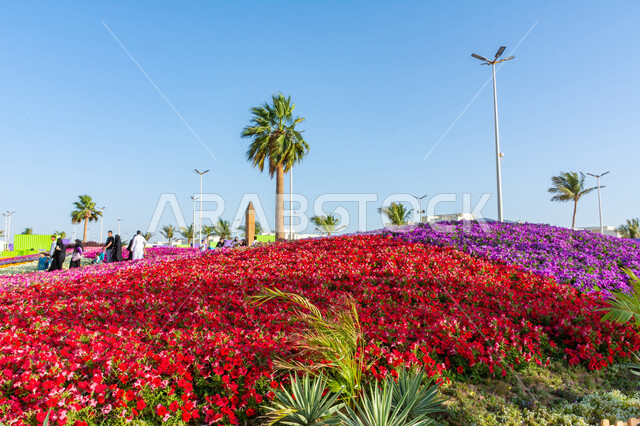  الأماكن والمنتزهات الطبيعية السياحية، عرض الأنواع من الأزهار والورود المتفتحة مختلفة الأشكال والألوان، الاهتمام بالحدائق والطبيعة الخصبة في المملكة العربية السعودية, انطلاق مهرجان ومعرض الزهور في مدينة ينبع, الاستمتاع بالفعاليات والمهرجانات الترفيهية العائلية