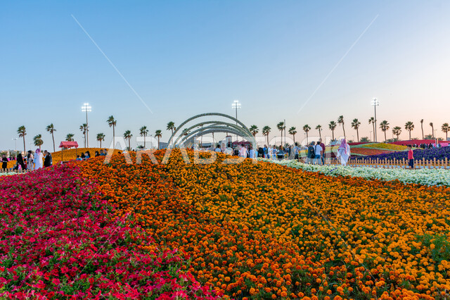  الأماكن والمنتزهات الطبيعية السياحية، عرض الأنواع من الأزهار والورود المتفتحة مختلفة الأشكال والألوان، الاهتمام بالحدائق والطبيعة الخصبة في المملكة العربية السعودية, انطلاق مهرجان ومعرض الزهور في مدينة ينبع, الاستمتاع بالفعاليات والمهرجانات الترفيهية العائلية