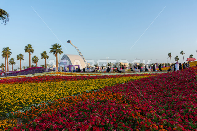  الأماكن والمنتزهات الطبيعية السياحية، عرض الأنواع من الأزهار والورود المتفتحة مختلفة الأشكال والألوان، الاهتمام بالحدائق والطبيعة الخصبة في المملكة العربية السعودية, انطلاق مهرجان ومعرض الزهور في مدينة ينبع, الاستمتاع بالفعاليات والمهرجانات الترفيهية العائلية