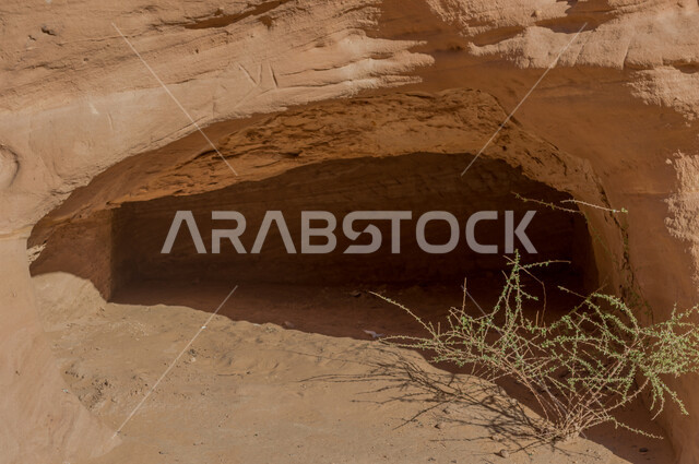 الجمال التاريخي لمدائن صالح في العلا بالمملكة العربية السعودية، الحضارة العربية القديمة، الجمال الطبيعي للتشكيلات الصخيرة، جمال الطبيعة الصحراوية، معالم اثرية تاريخية، السياحية في السعودية
