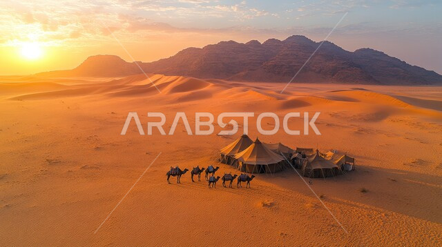 التخييم في صحاري المملكة العربية السعودية، الأجواء الشتوية الهادئة، مجموعة خيم بدوية شعبية وسط الصحراء، التضاريس والرمال الذهبية الناعمة وقت غروب الشمس، كشتة و جلسة بر شبابية، مخيمات سياحية في المناطق البرية