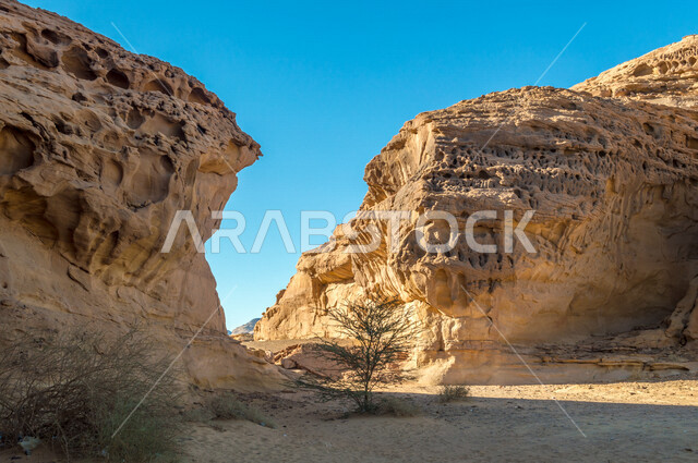 الجمال التاريخي لمدائن صالح في العلا بالمملكة العربية السعودية، الحضارة العربية القديمة، الجمال الطبيعي للتشكيلات الصخيرة، جمال الطبيعة الصحراوية، معالم اثرية تاريخية، السياحية في السعودية