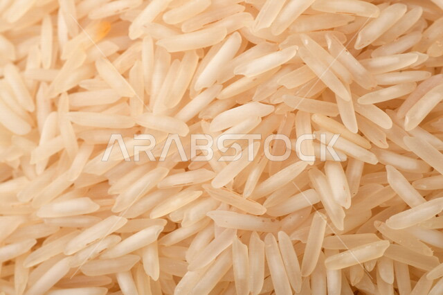  محصول الارز الزراعي, ارز ابيض غير مطبوخ, أرز ابيض منثور على الأرض, محاصيل زراعيه