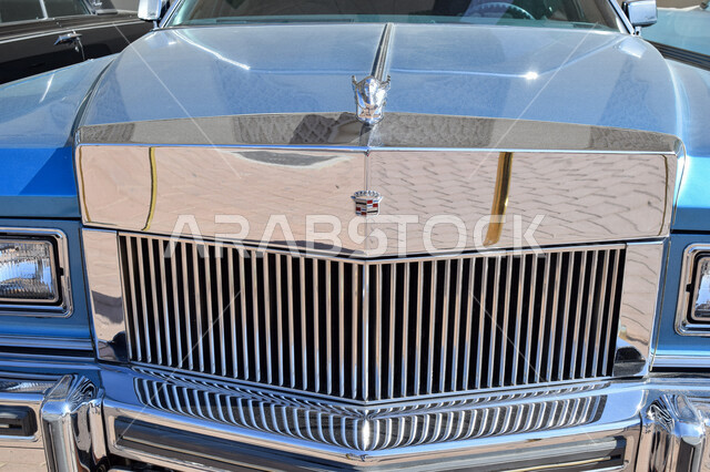 صورة مقربة لعلامة سيارة كلاسيكية مشاركة في احتفالات اليوم الوطني لدولة الإمارات العربية المتحدة، بوادي مول، فعاليات الإمارات.