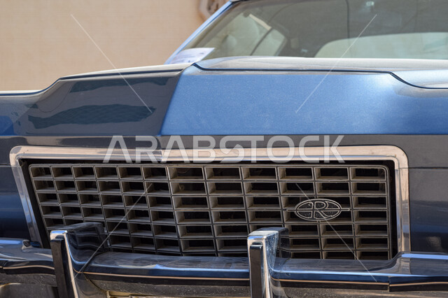 صورة مقربة لعلامة سيارة كلاسيكية مشاركة في احتفالات اليوم الوطني لدولة الإمارات العربية المتحدة، بوادي مول، فعاليات الإمارات.