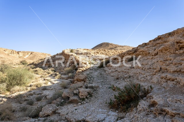 القمم والمرتفعات الجبلية في مدينة الرياض، نمو النباتات والاعشاب البرية بين التكوينات الصخرية الطبيعية في المناطق الصحراوية، معالم اثرية تاريخية قديمة، اماكن سياحية في المملكة العربية السعودية