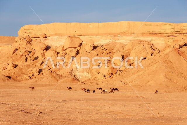 البيئة الصحراوية والقمم والمرتفعات الجبلية، التكوينات والتشكيلات الصخرية في صحراء المملكة العربية السعودية، مناطق البادية والبيئة الطبيعية في الصحاري، سلسة من التلال  في الرامة عند غروب الشمس خلفية الطبيعة