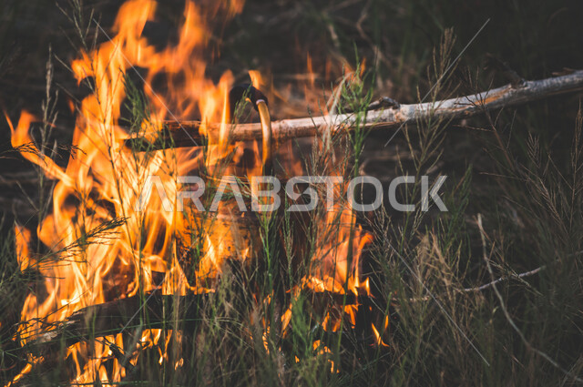 إعداد الشاي على النيران المشتعلة  في الحطب ، اللهب الأحمر المشتعل في رحلة تخييم ، جمال الطبيعة في المملكة العربية السعودية 