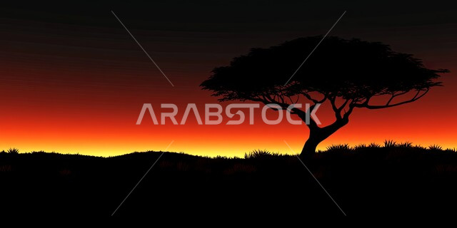 صورة ظليه لشجره وسط الطبيعه, منظر غروب الشمس في السماء, سيلويت 