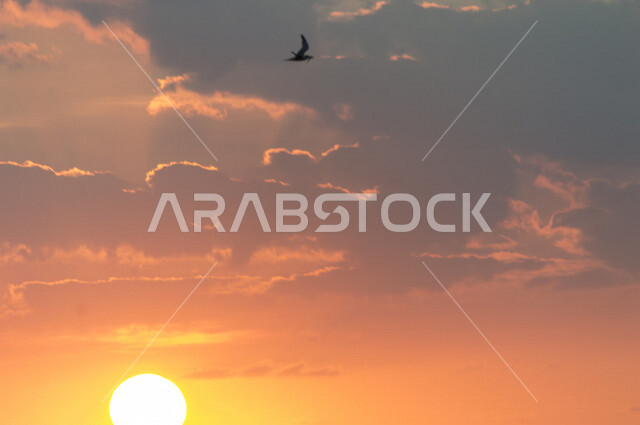 منظر جميل لغروب الشمس من كورنيش جدة بالمملكة العربية السعودية ، جمال الطبيعة الخلابة على ساحل مدينة جدة ، معالم السياحة في المملكة العربية السعودية