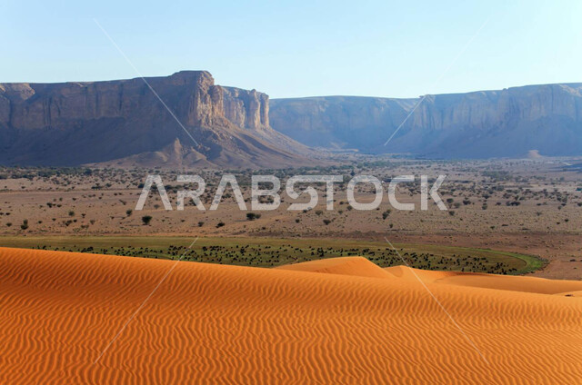 التلال والهضاب والرمال الذهبية الناعمة، التكوينات والتشكلات الصخرية في صحراء المملكة العربية السعودية، التضاريس و المرتفعات والقمم الجبلية والرملية في البراري، مناطق البادية والبيئة الطبيعية الصحراوية، نمو النباتات والأعشاب البرية