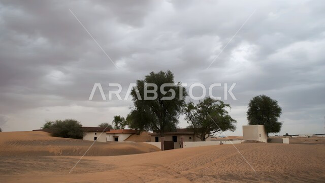 نمو النباتات والاشجار الخضراء في صحاري الشارقة، الفن الهندسي لبناء منزل باللون الابيض وسط الصحراء على الطراز الحديث في الامارات العربية المتحدة، الرمال الذهبية الناعمة، الهضاب والتلال والكثبان الرملية الذهبية الناعمة، منظر السماء الممتلئة بالغيوم البيضاء