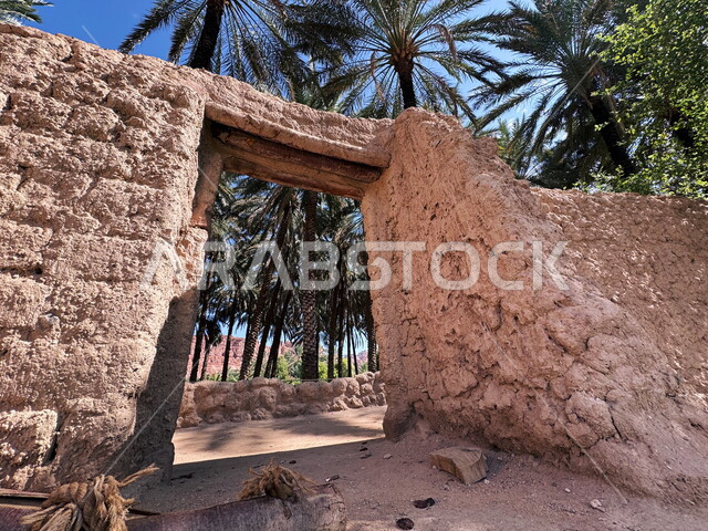 الواحات والوديان في المملكة العربية السعودية, معالم جذب واستقطاب الزوار من شتى انحاء العالم, الواحة الثقافية في محافظة العلا, مناطق القمم والمرتفعات الصخرية, الاماكن التاريخية والاثرية القديمة, اشجار النخيل والنباتات الخضراء