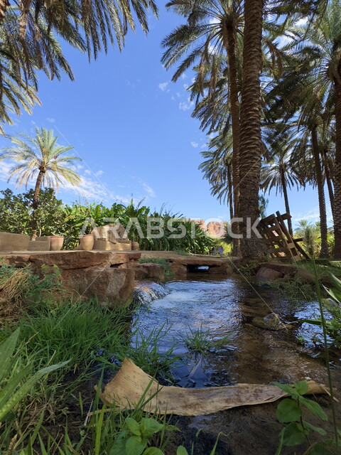  الأماكن التاريخية والآثرية القديمة في محافظة العلا, الواحة الثقافية في المملكة العربية السعودية, واحات أشجار النخيل والنباتات الخضراء, المرتفعات الجبلية والتكوينات الصخرية الطبيعية, معالم جذب واستقطاب السياح من شتى انحاء العالم