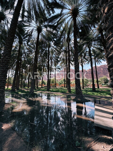 المرتفعات الجبلية والتكوينات الصخرية الطبيعية, معالم جذب واستقطاب السياح من شتى انحاء العالم, الأماكن التاريخية والآثرية القديمة في محافظة العلا, الواحة الثقافية في المملكة العربية السعودية, واحات أشجار النخيل والنباتات الخضراء