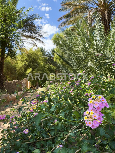 الاستمتاع بالمناظر الطبيعية, الزهور والورود العطرية الملونة في المناطق الجبلية في المملكة العربية السعودية, معالم السياحة وقضاء الوقت الممتع, الواحة الثقافية في محافظة العلا, جذب واستقطاب الزوار من شتى انحاء العالم, الاماكن الاترية والتاريخية القديمة