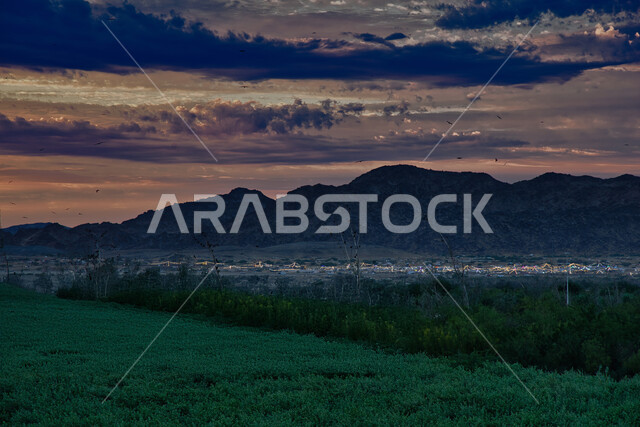 Green Eastern Forest in Jeddah at sunset, having fun outdoors, fertile agricultural areas and places in Saudi Arabia, enjoying the natural scenery in forests, gardens and parks, cloudy sky background